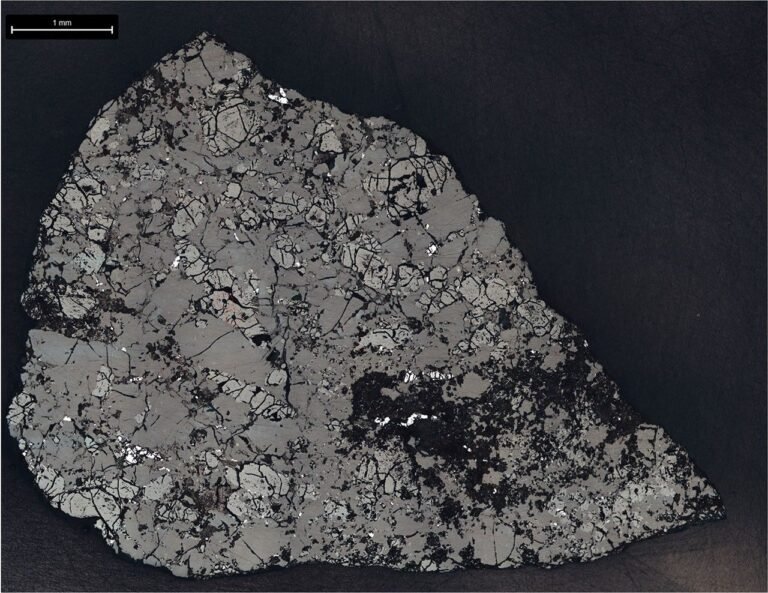 Микроскопски разрез на марсианския метеорит Teghaza 001, изследван от NASA/JPL-Caltech