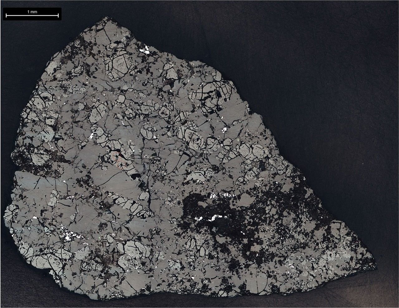 Microscopic section of Martian meteorite Teghaza 001 examined by NASA/JPL-Caltech