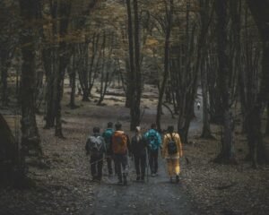 Туристи на поход в гора, илюстративна снимка, не от юбилея / Illustrative forest hiking scene, not from the anniversary celebration (Nima Ganji / Unsplash).