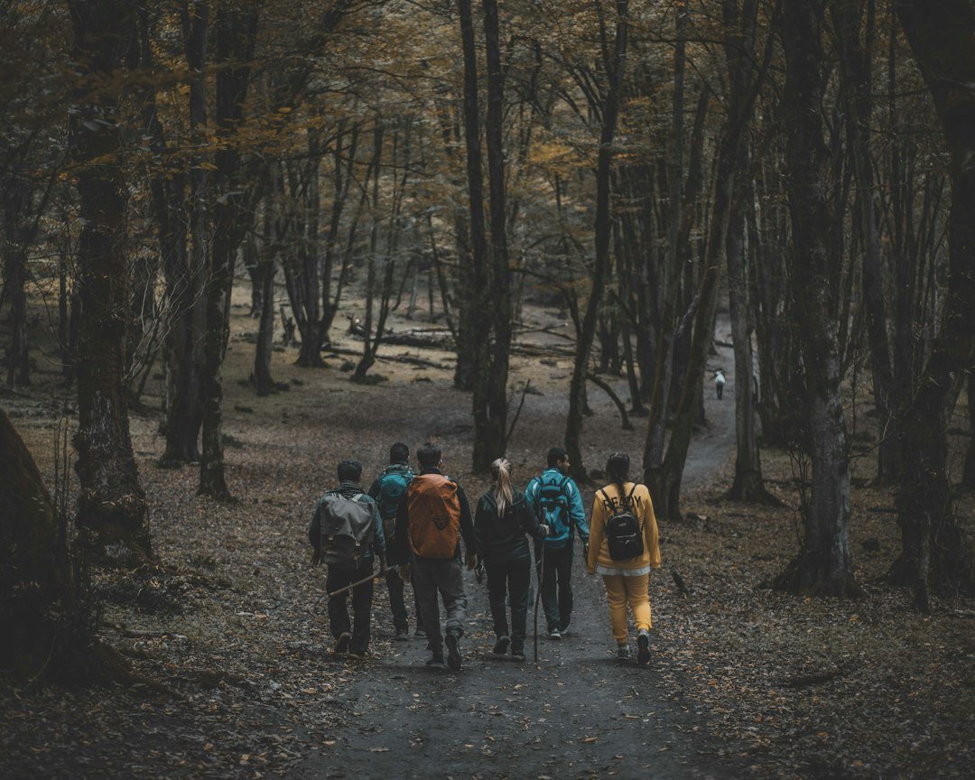 Туристи на поход в гора, илюстративна снимка, не от юбилея / Illustrative forest hiking scene, not from the anniversary celebration (Nima Ganji / Unsplash).